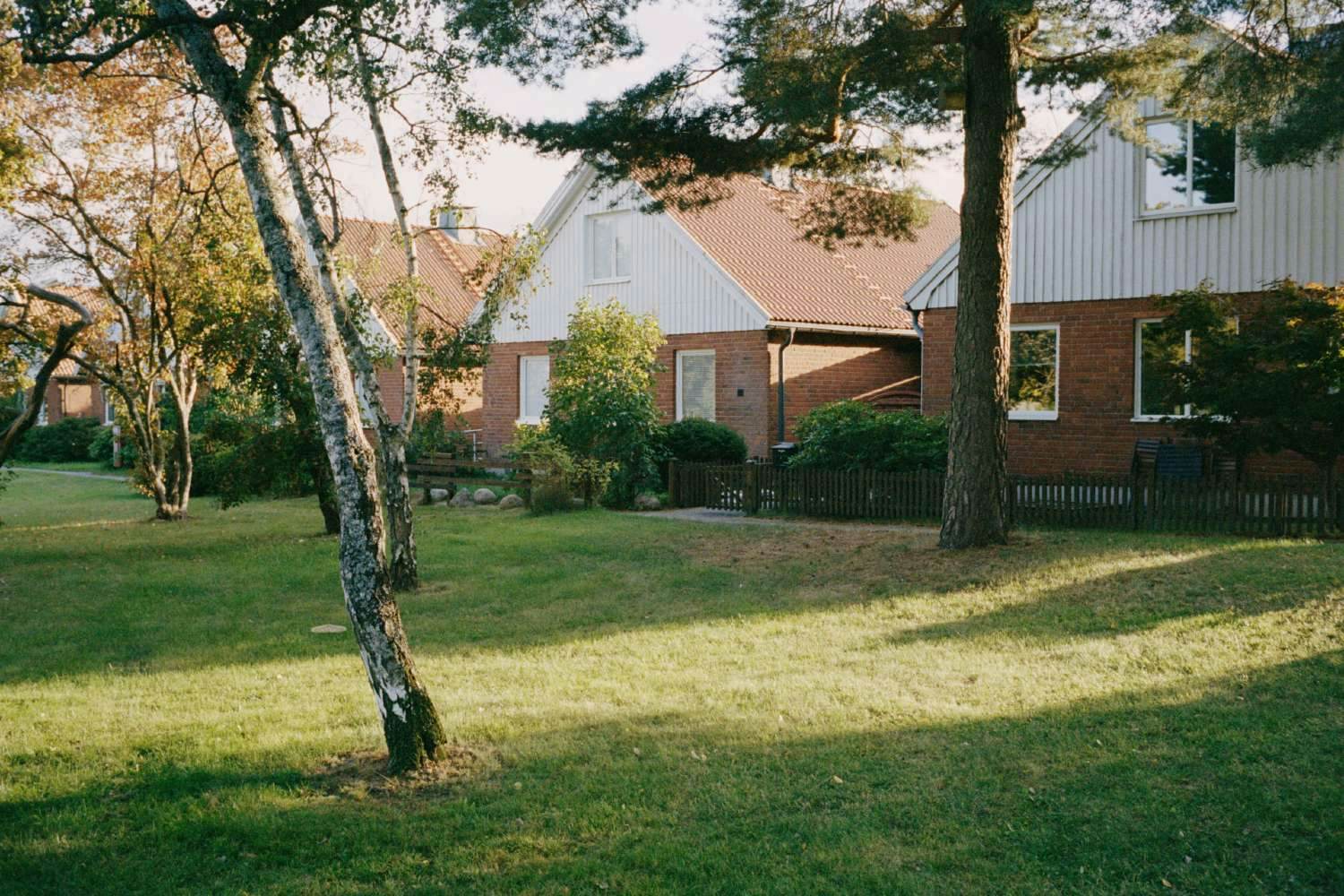 Houses in a row behind some trees.